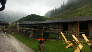 Dalla moda alla malga: una “cittadina” diventa cowgirl