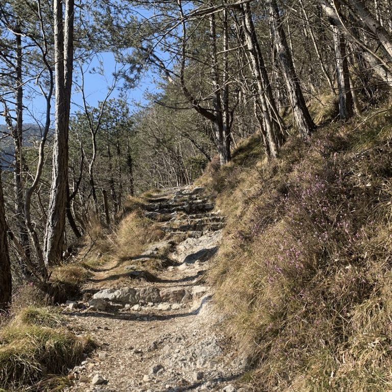 sentiero verso stavoli di moggio