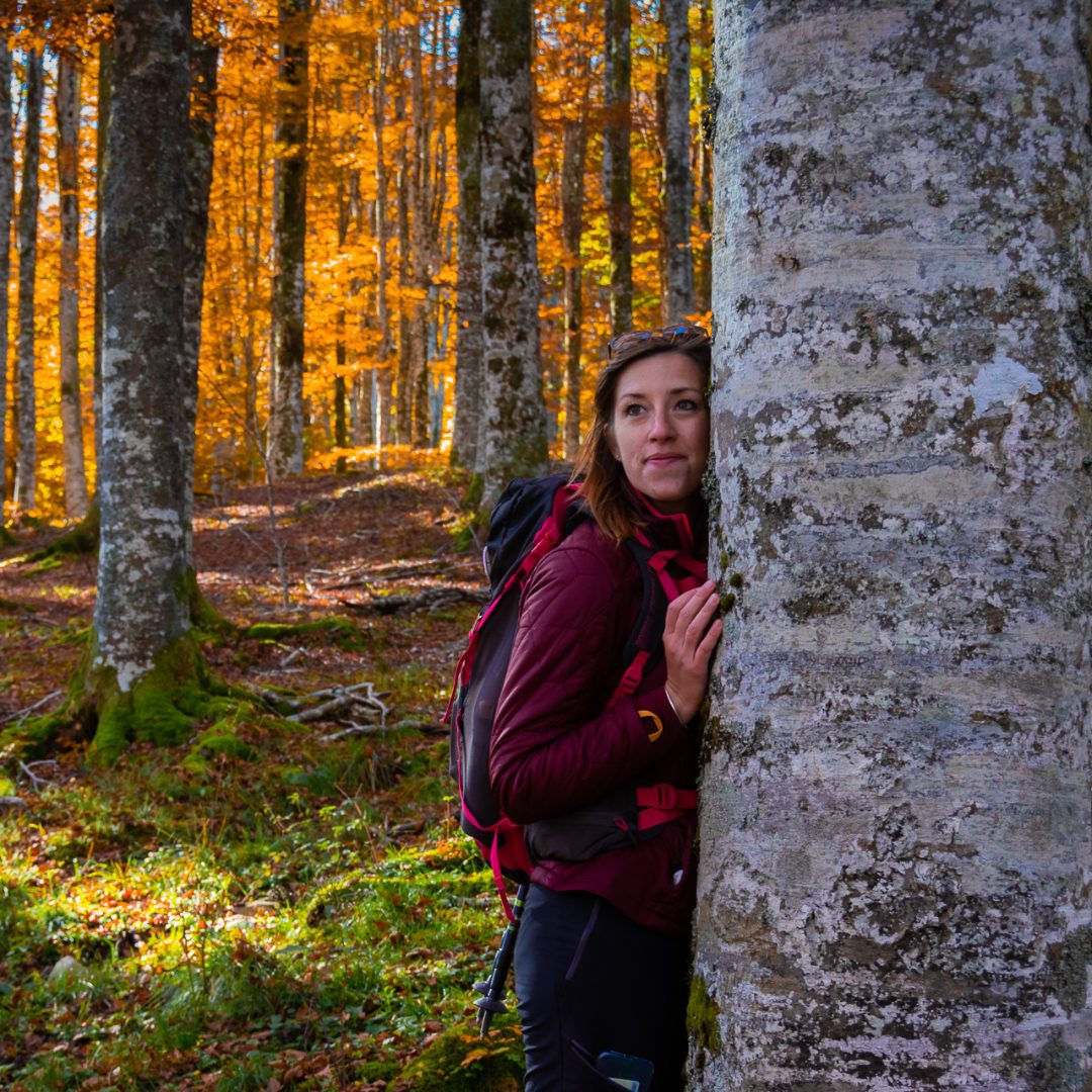 Elena Feresin - Forest Bathing