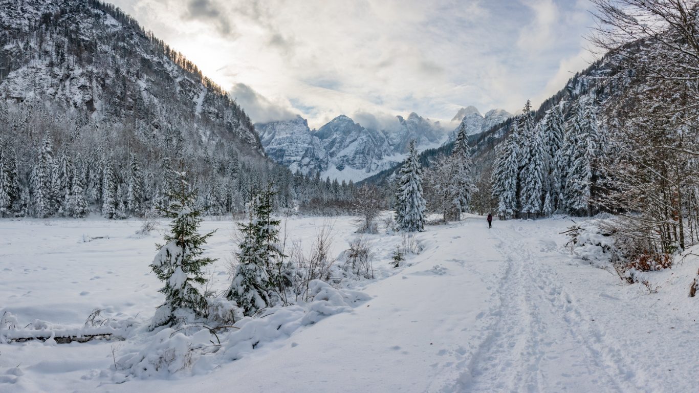 Paesaggio innevato Friuli Venezia Giulia