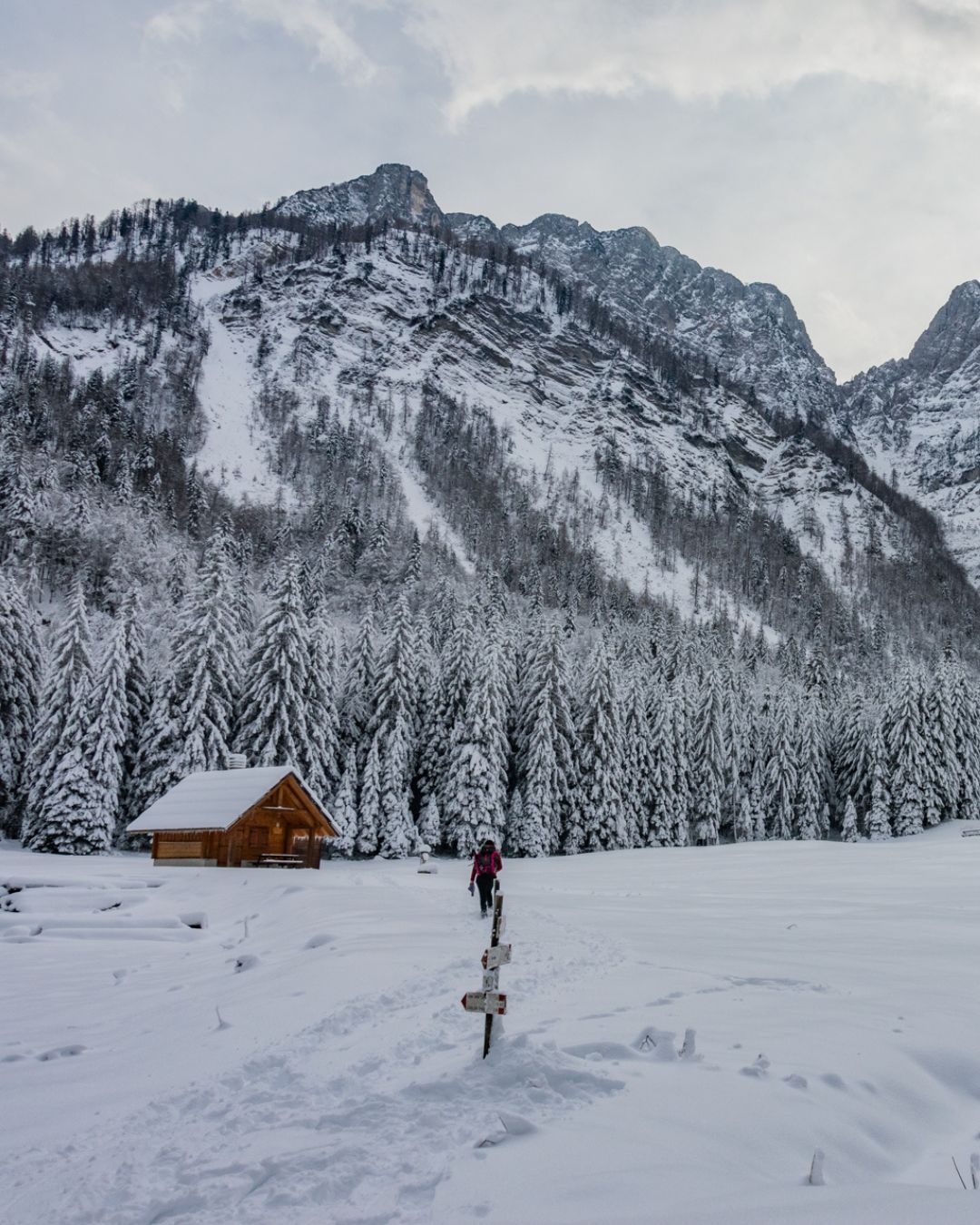 La baita nella valle di riofreddo