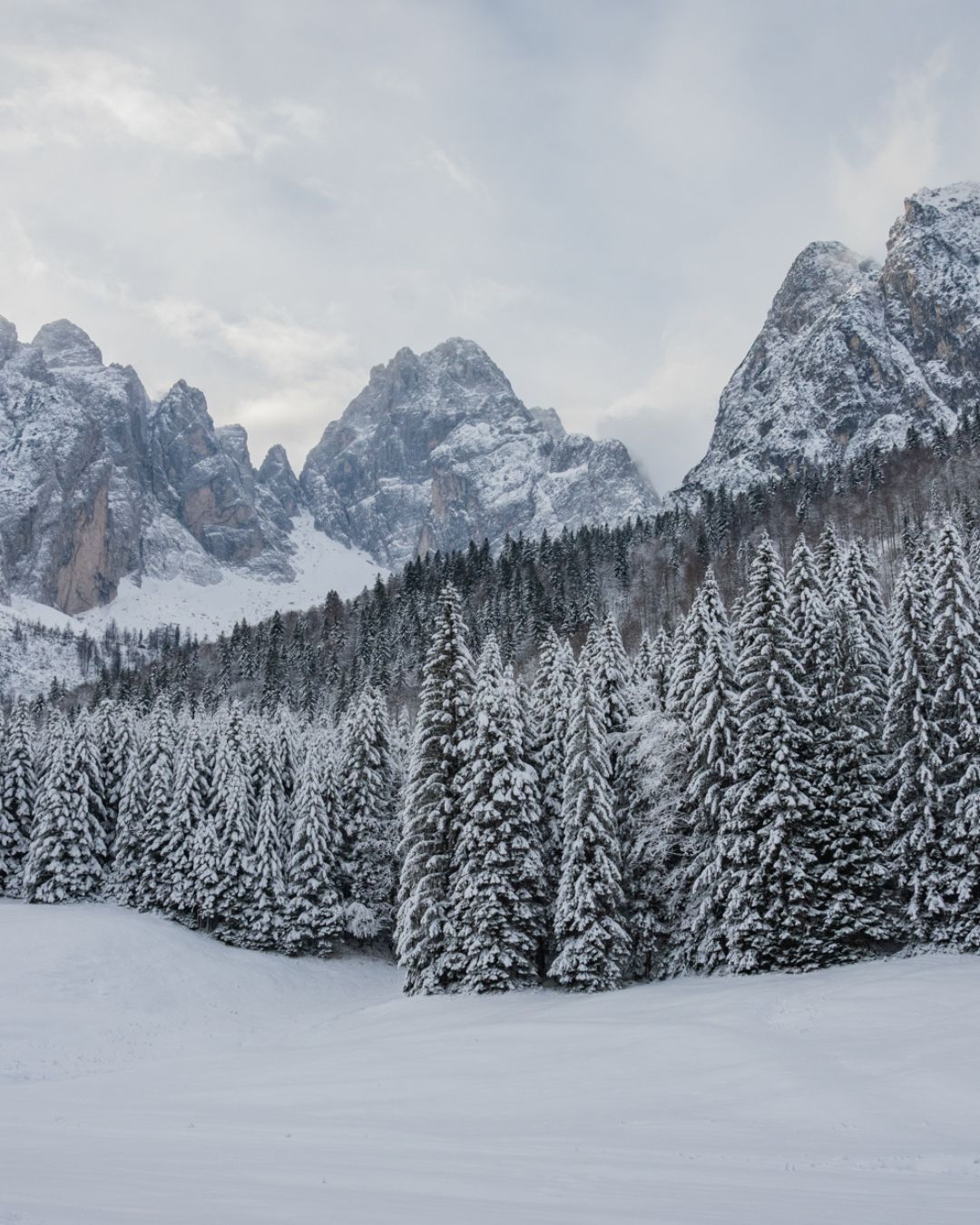 Panorama innevato nella Valle di Riofreddo