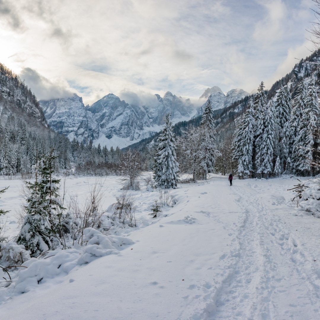 paesaggio innevato